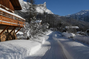 Face Mont-Blanc